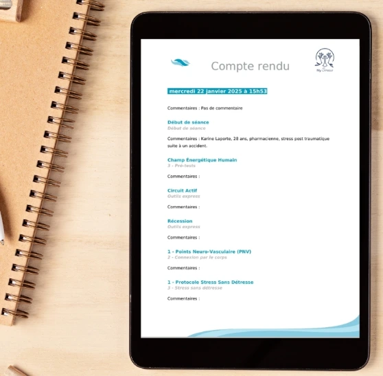 visuel du compte rendu de l'application